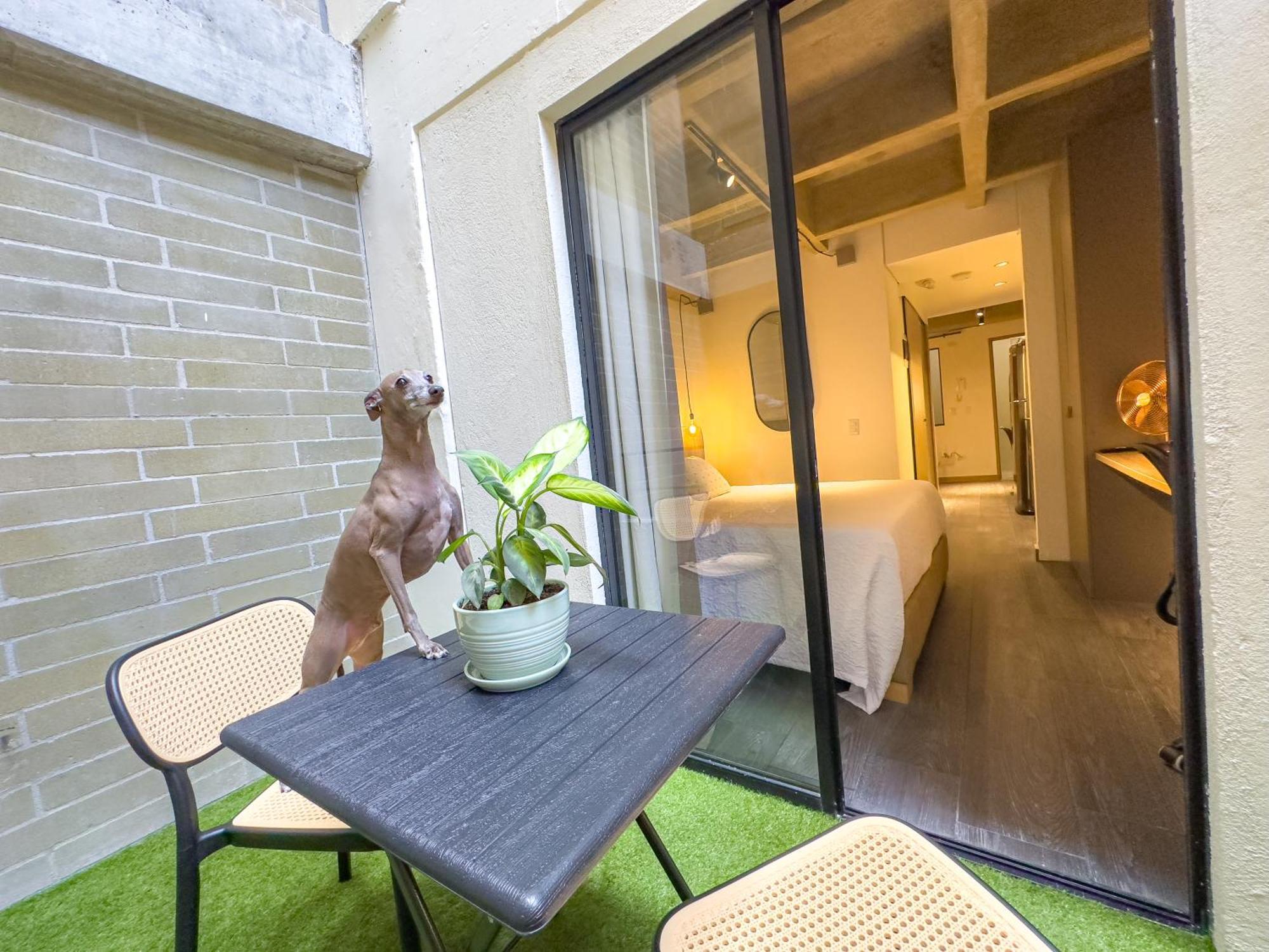 B 48 Living By B Rent Apartment Medellin Ngoại thất bức ảnh